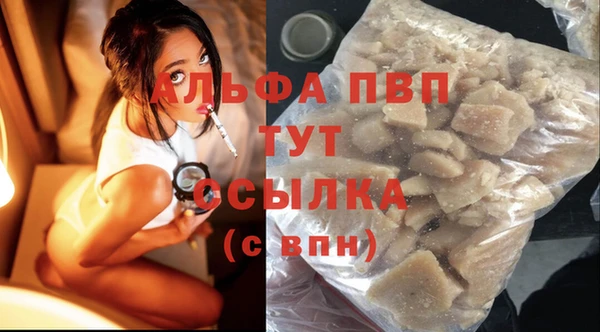 стаф Володарск