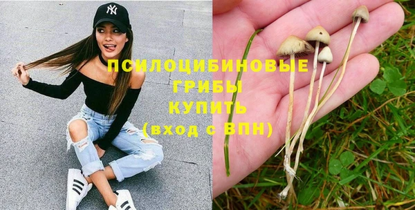 стаф Володарск