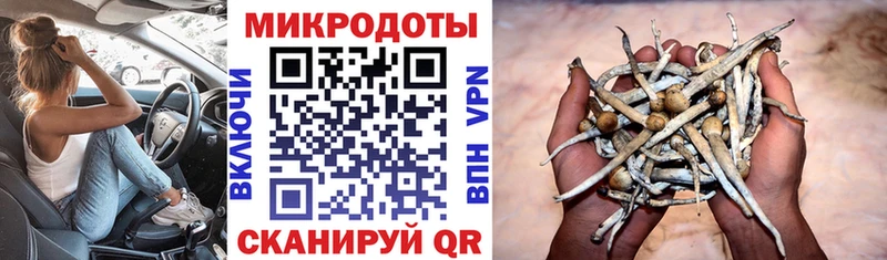 Купить где  Навашино  Галлюциногенные грибы GOLDEN TEACHER 